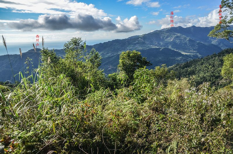 追分山開闊區南眺群山 (1)-1