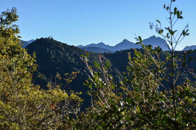 200林道東眺佳陽、小劍山