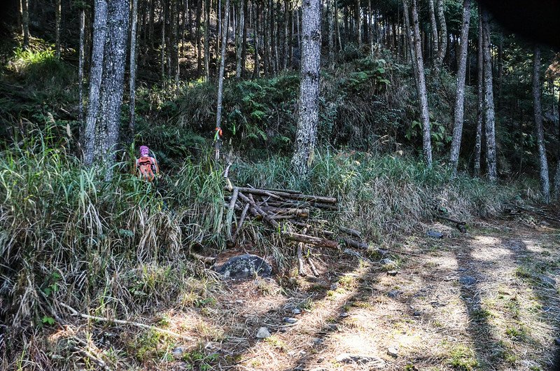 北三錐山林道登山口 (1)