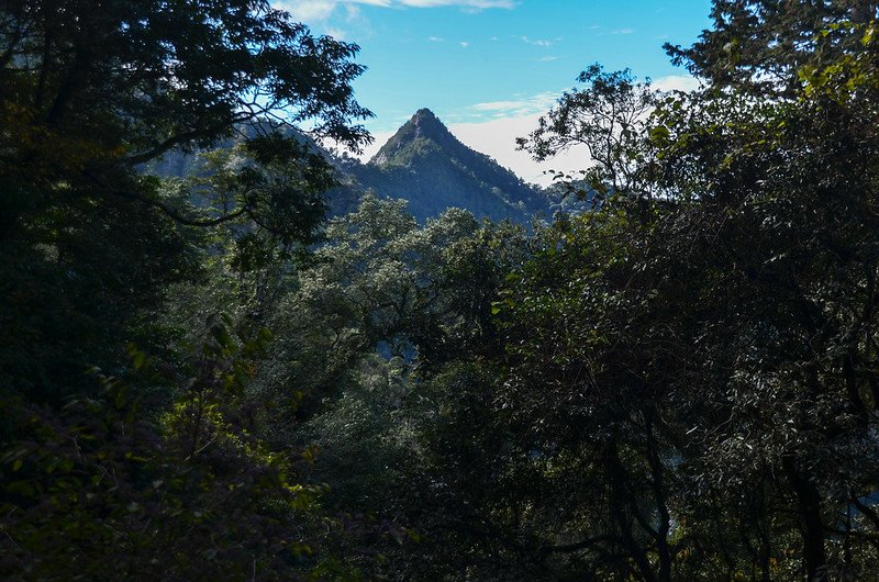 船型山林道西南眺鳶嘴山 2