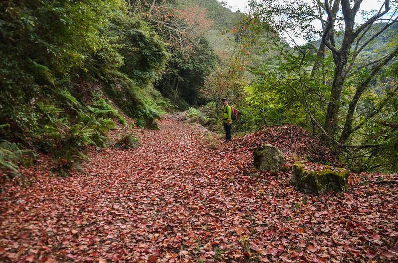 船型山林道 (2)