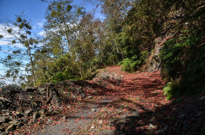 船型山林道 (27)