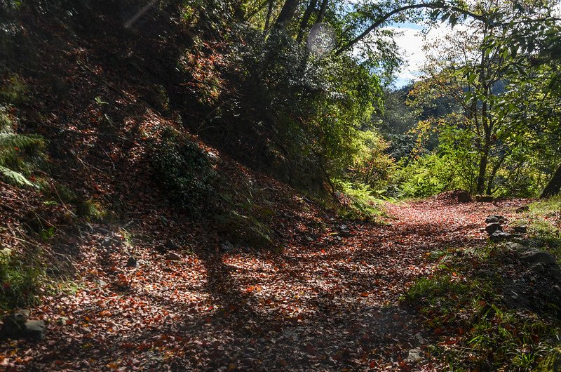 船型山林道 (24)