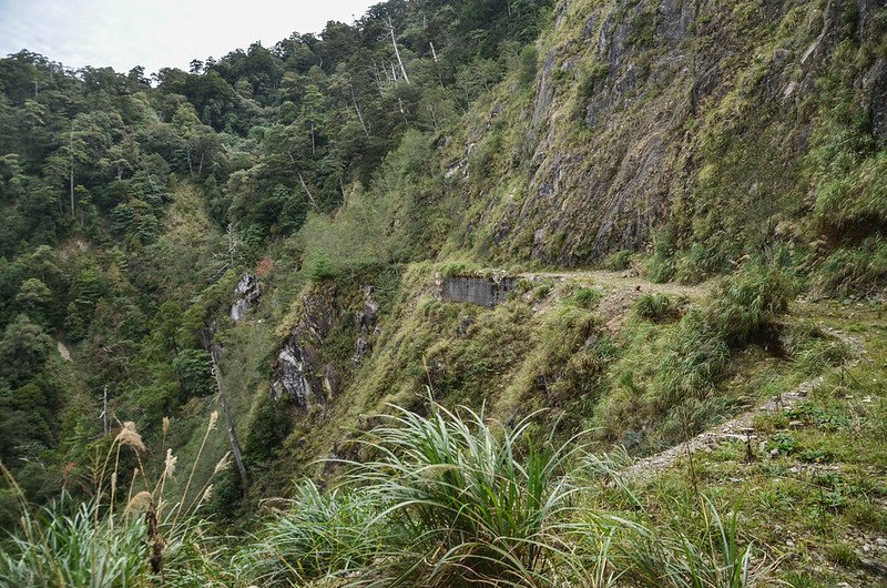 船型山林道 (7)