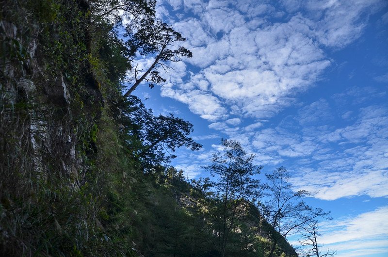 船型山林道 (9)