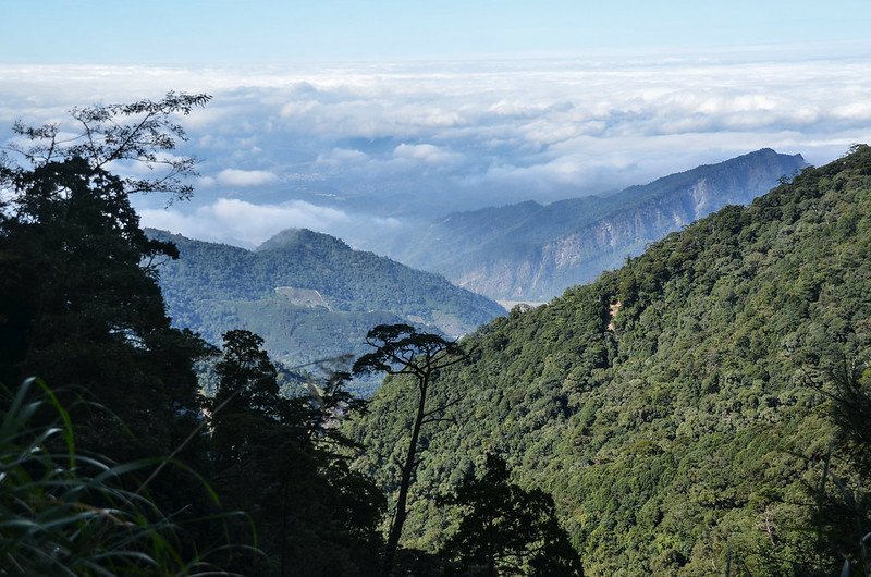 船型山林道4.4K俯瞰大安溪谷