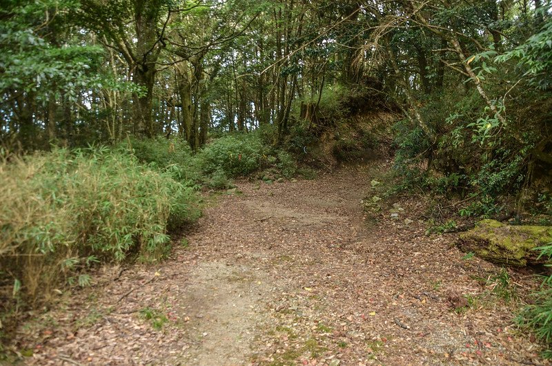 烏石坑山船型山林道山徑登山口