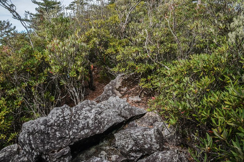 烏石坑山2175山頭裸岩區