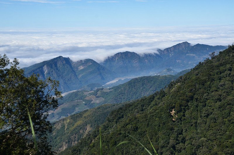 船型山林道4.0K西北俯瞰馬克連稜 10