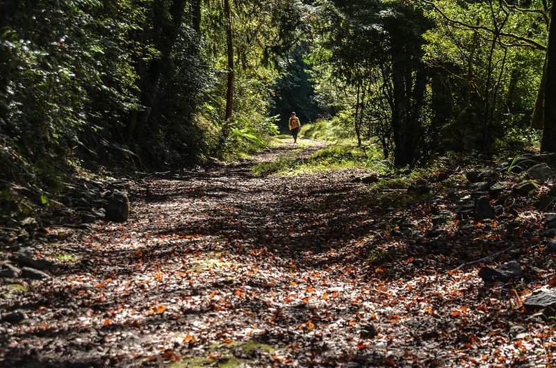 船型山林道 (29)