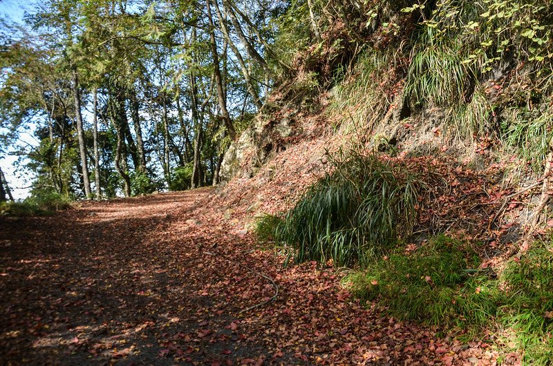 船型山林道 (30)