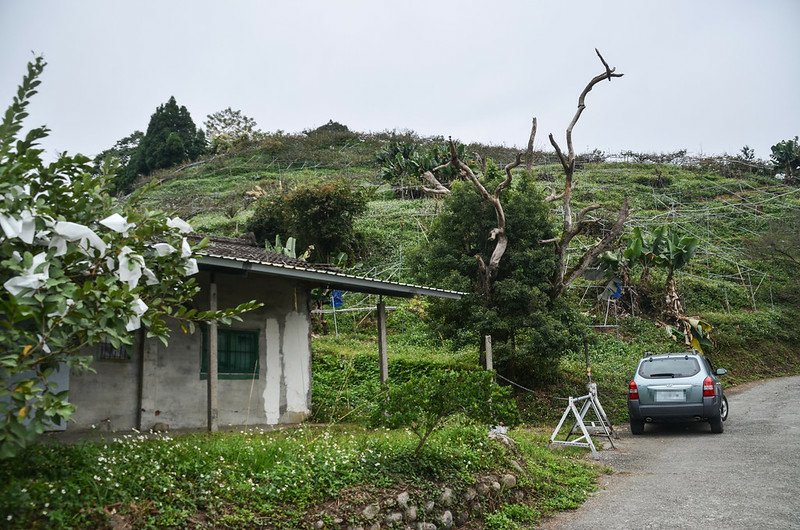 麻竹坑山停車處 1