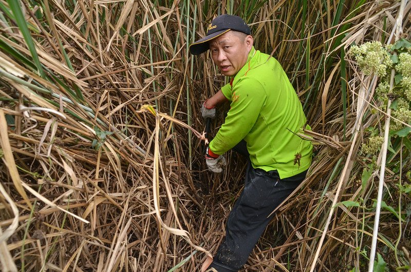 麻竹坑山基點藏身處 1