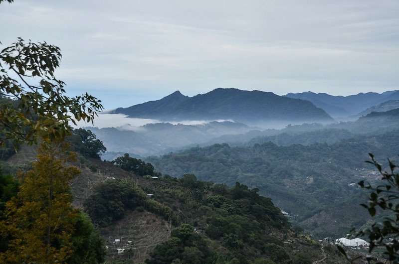 麻竹坑山山頂東北展望 3