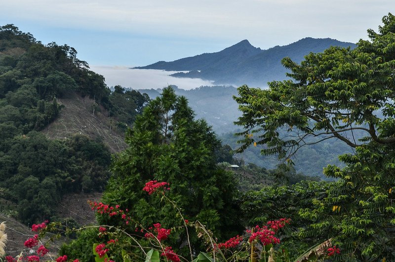 麻竹坑山山頂北眺馬那邦山、大克山 2