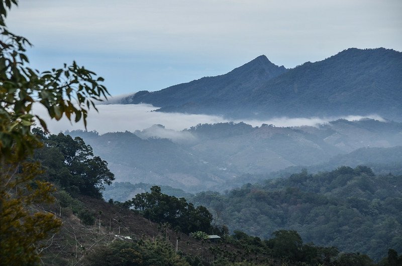 麻竹坑山山頂北眺馬那邦山、大克山 1