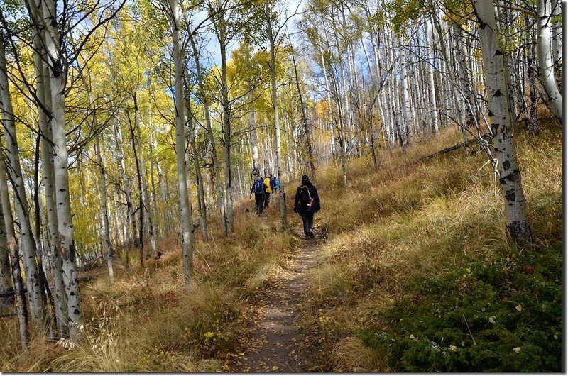 Ptarmigan Peak Trail, Silverthorne, Colorado (34)