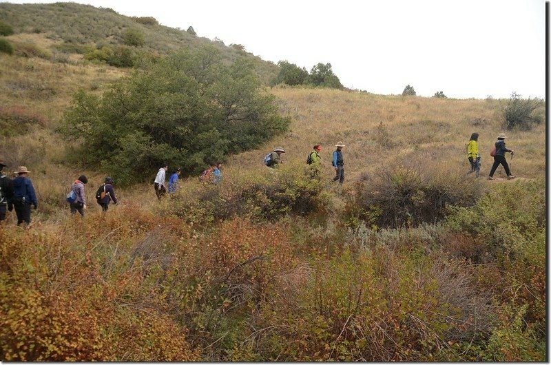 Meadowlark Trail, Deer Creek Canyon Park (8)