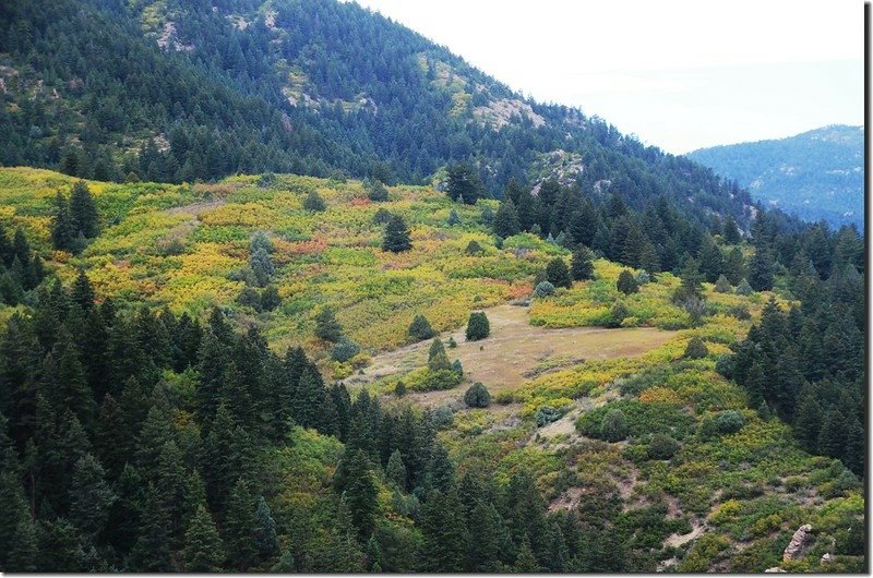 Meadowlark Trail, Deer Creek Canyon Park (19)