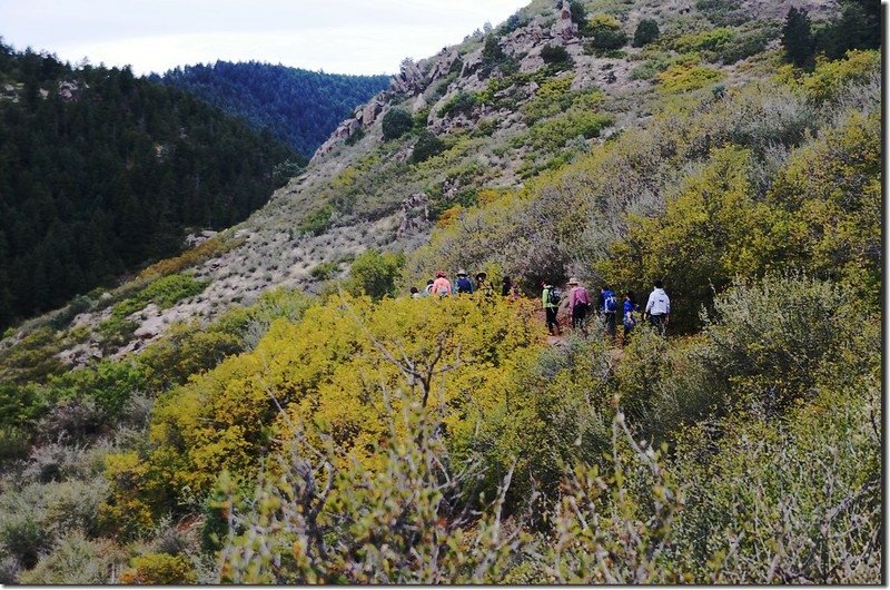 Meadowlark Trail, Deer Creek Canyon Park (23)