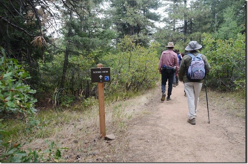 Scenic View Trail, Deer Creek Canyon Park (2)