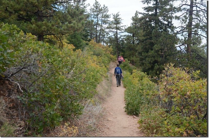 Plymouth Mountain Trail, Deer Creek Canyon Park (7)