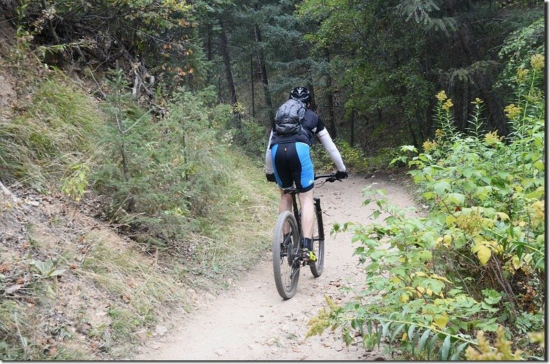 Plymouth Creek Trail, Deer Creek Canyon Park (9)