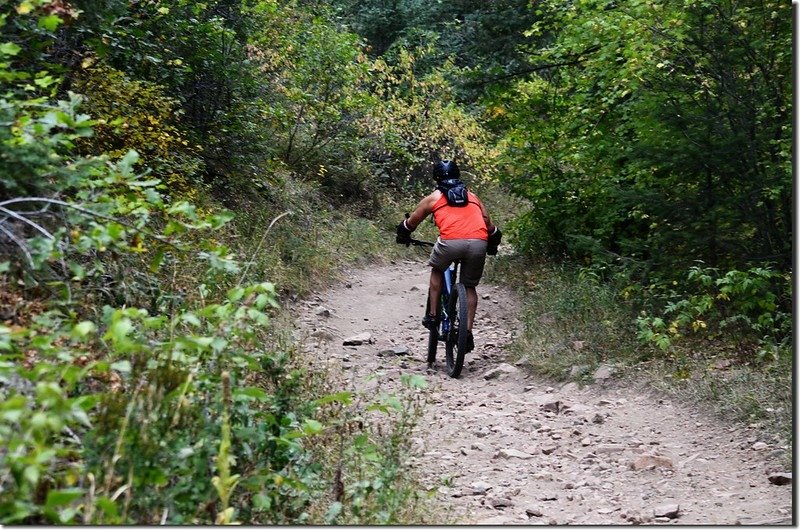 Plymouth Creek Trail, Deer Creek Canyon Park (11)