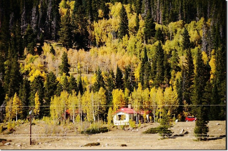 Fall colors along E. Portal road (39)