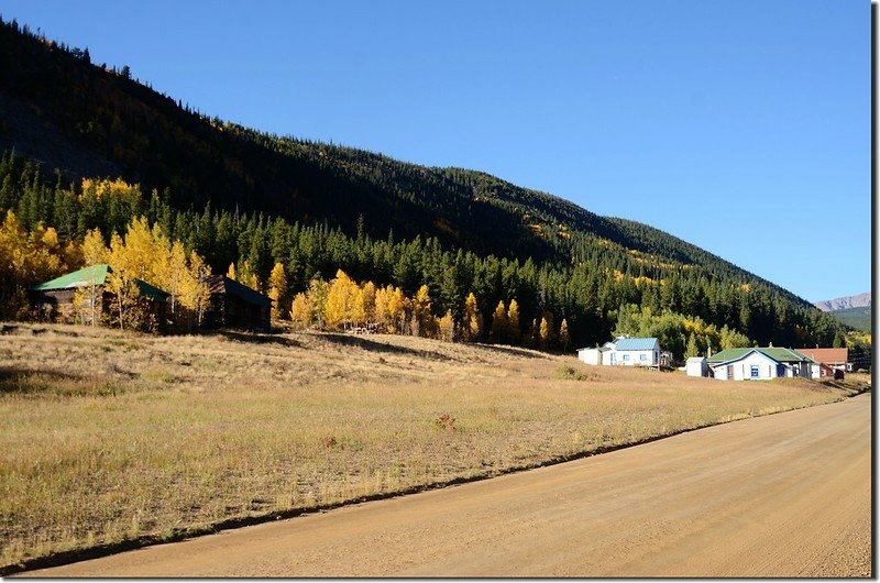 Fall colors along E. Portal road (5)