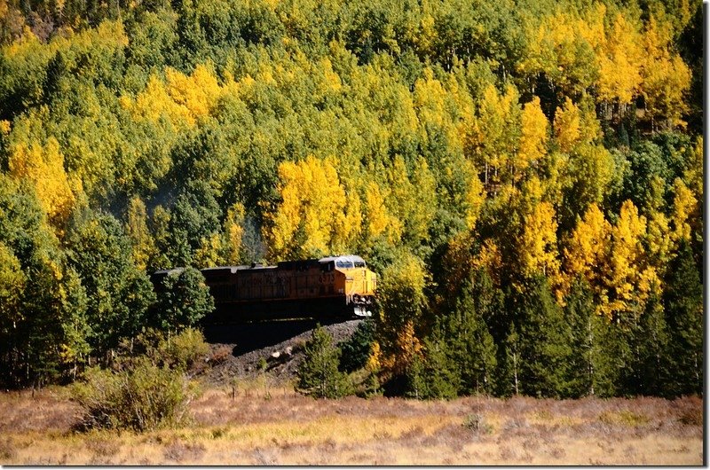 Fall colors along E. Portal road (30)