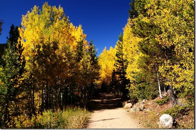 Fall colors at E. Portal trailhead, Colorado (13)