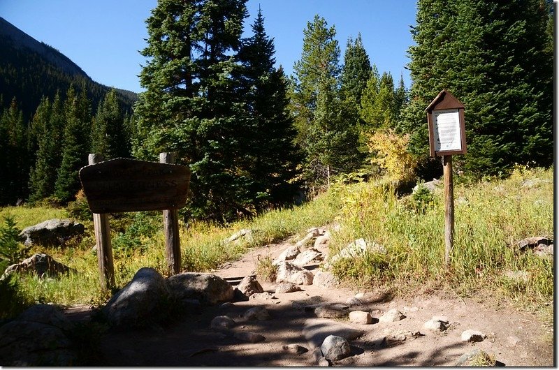 Forest Lake Trail, Colorado (4)