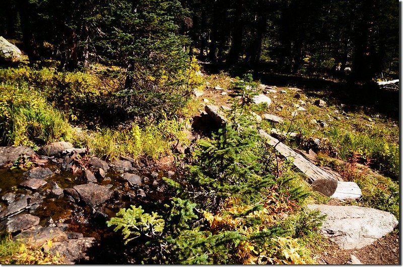 Forest Lake Trail, Colorado (19)