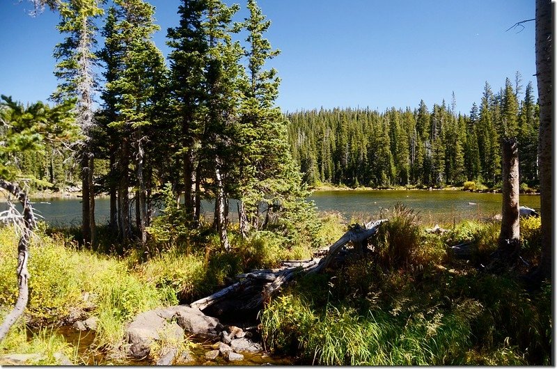 Lower Forest Lake,Colorado (5)