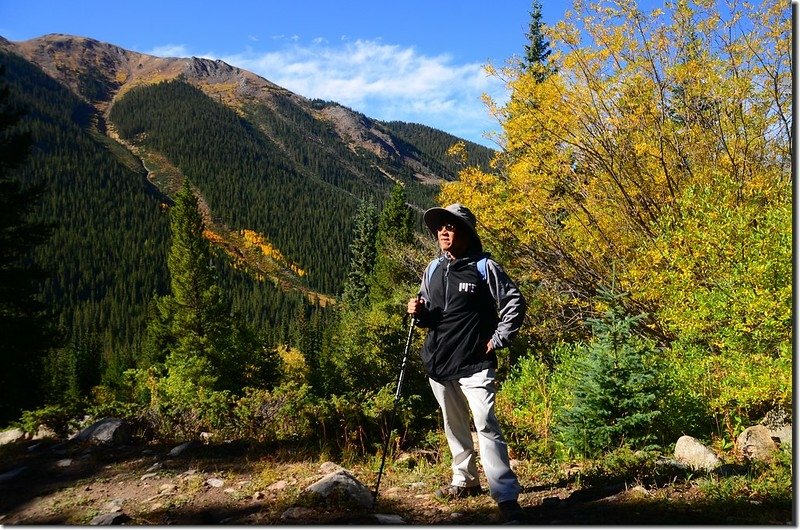 Aspen trees in autumn,  Chihuahua Gulch Trail (9)