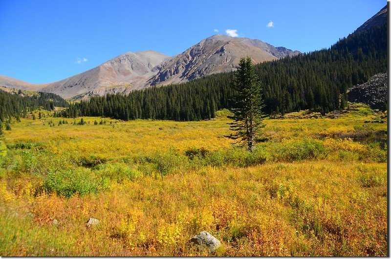 Looking northeast at Torreys (L) &amp; Grays (R) Peaks from Chihuahua Lake Trail