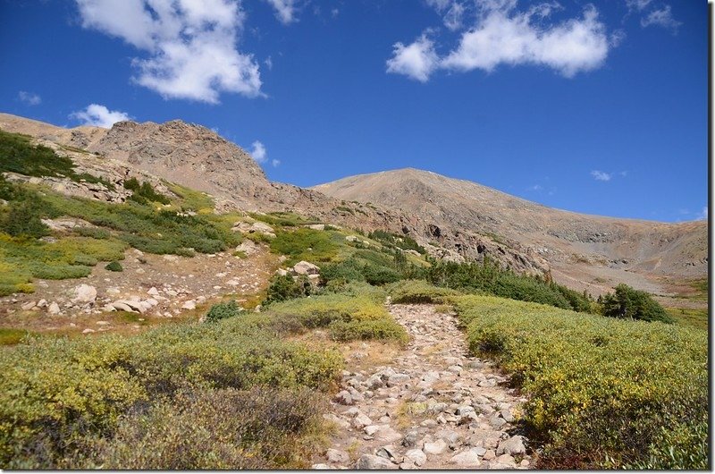 Looking north at Grizzlk Peak from Chihuahua Gulch Trail near 11,680 ft.1