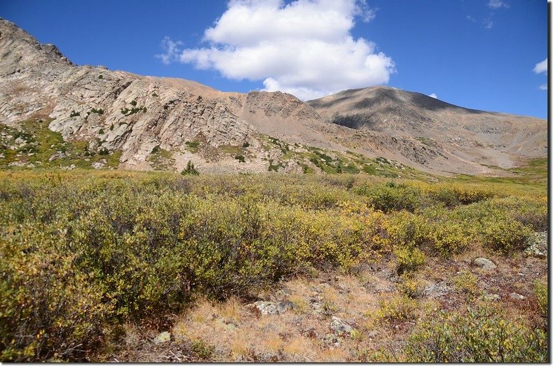 Looking north at Grizzlk Peak from Chihuahua Gulch Trail near 11,680 ft.