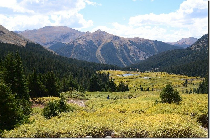 Looking back down the valley and beaver ponds below (6)