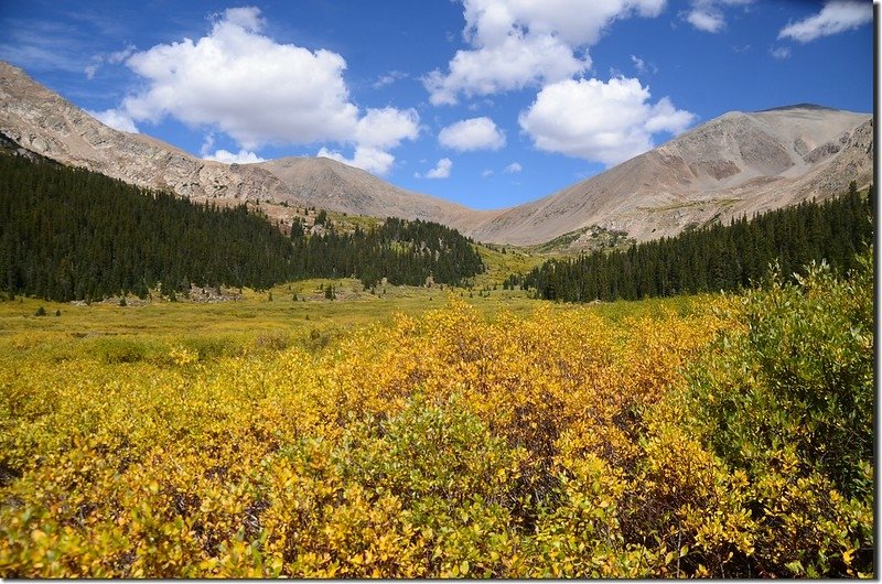 Looking north at Grizzlk (L) &amp; Torreys (R) Peaks from Chihuahua Gulch Trail