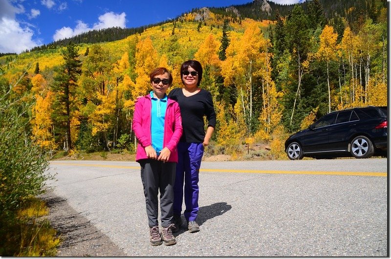 Aspen trees in autumn,  Montezuma Rd, Keystone (5)