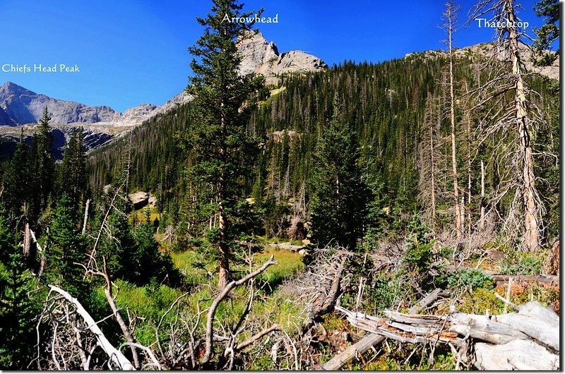 Looking up at Arrowhead from Black &amp; Shelf Lake Trail fork_副本