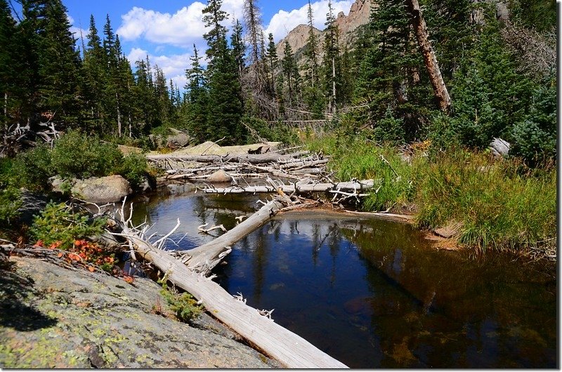 Crosses Glacier Creek on fallen tree bridge