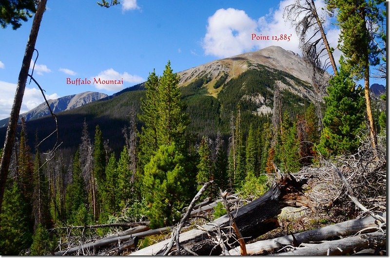 Mountain views from Willow Lakes Trail (7)