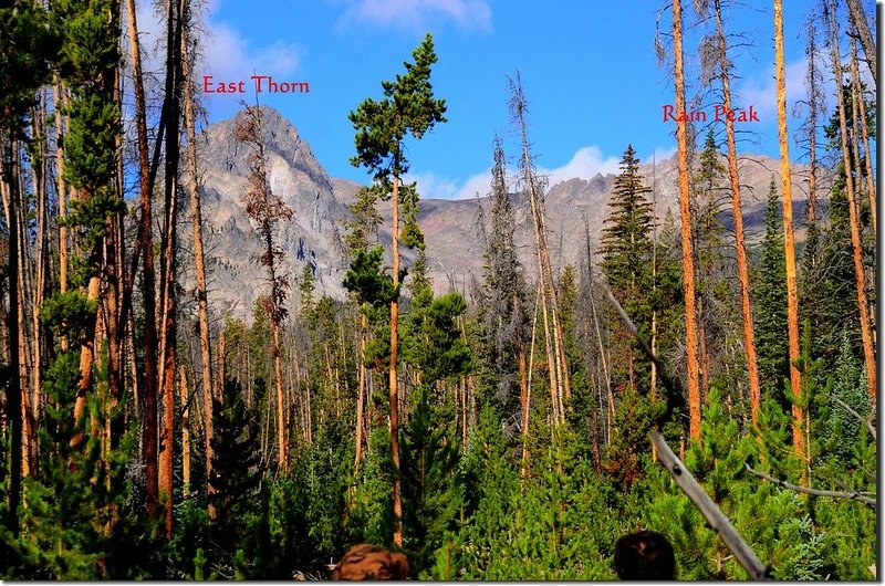 Mountain views from Willow Lakes Trail (2)