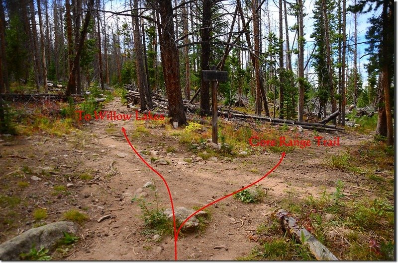 The junction of Gore Range Trail &amp; Willow Lake Trail