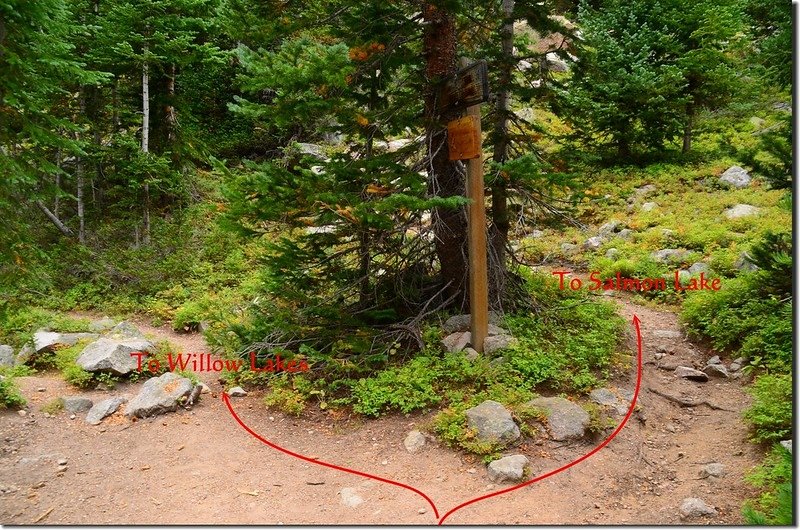 The junction of Willow Lake Trail &amp; Salmon Lake Trail