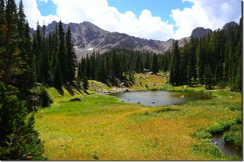 The pond of several ponds in the Willow Lakes cluster (7)