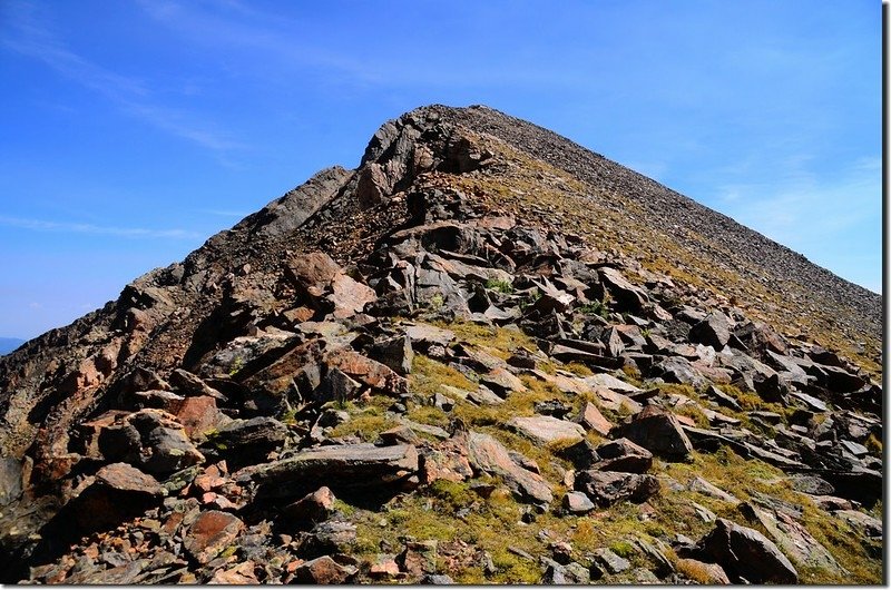 Terrain up to Mount Wilcox